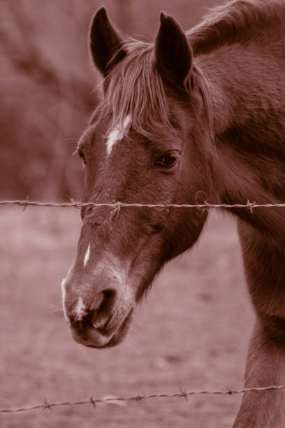 Shot on my canon 4000d