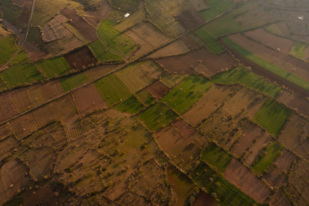 Drone view of fields and trees turning green with the arrival of spring