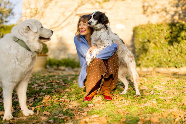 Shot of a beautiful young woman relaxing on the couch with her dog and cathttp://195.154.178.81/DATA/i_collage/pi/shoots/783489.jpg
