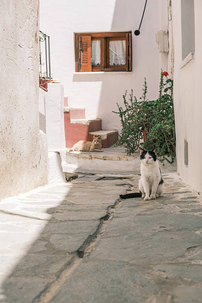 istock Naxos old town 2197190386