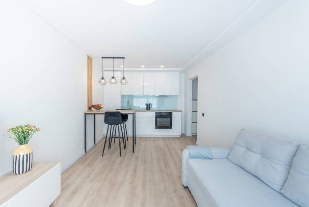 istock Modern Open Plan Living Room and Kitchen Interior Stylish Decor. Scandinavian Style. Bright modern living room with open space. Features include cozy furniture, sleek appliances, contemporary design 2197199477
