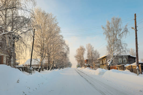 Vertical winter landscape of a rural street covered with snow, bare trees and wooden houses along the road.