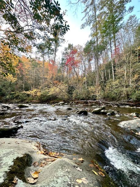 istock Little River Gatlinburg 2197205299