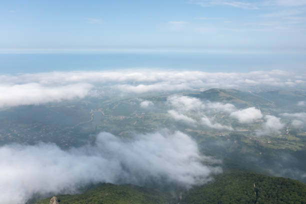 Mist over green forest on mountains. Aerial view.