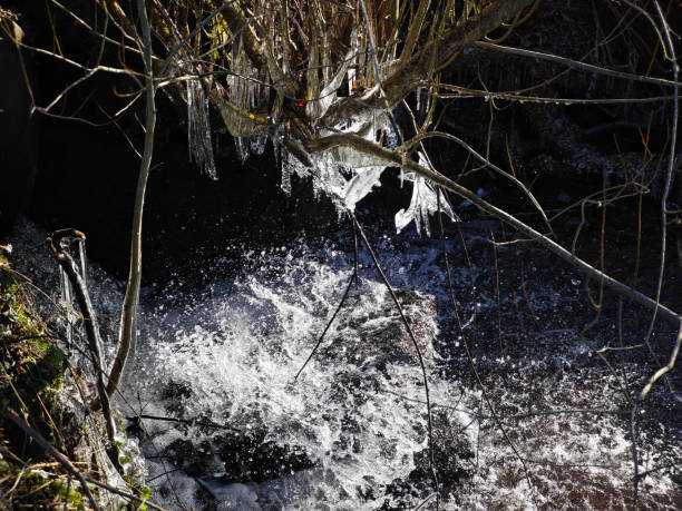 A close-up shot of intricate icicle formations and frozen water droplets creating a captivating winter texture. The scene emphasizes the artistic and natural beauty of ice in a frozen environment.