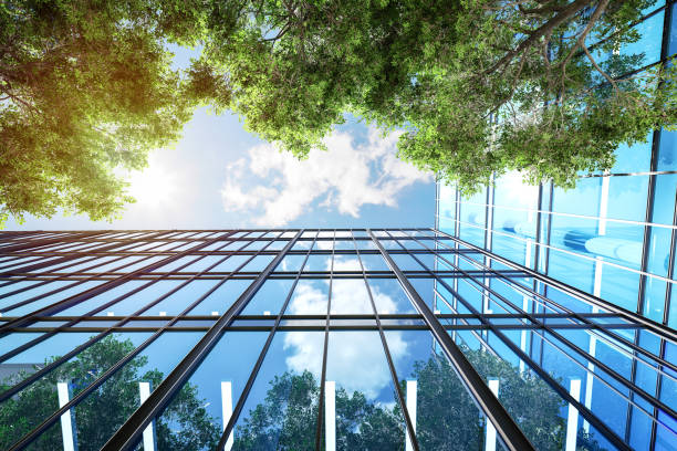 istock Modern style simple glass building exterior with tree and blue sky background 3d render 2197209336