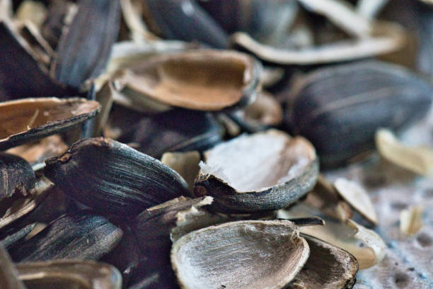 istock Pile of Sunflower Seed Shells 2197210533