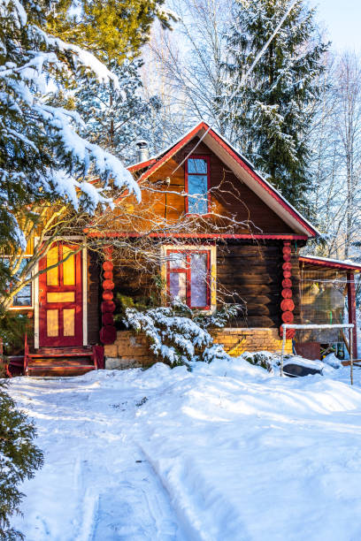 istock snowy path and rural log house in winter 2197223098