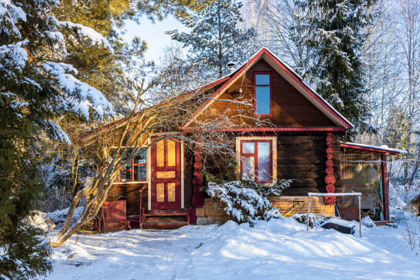 istock front view of colorful log house on snowy yard 2197223101