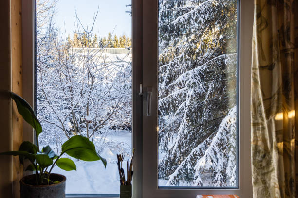 istock view through window with houseplant of snowy yard 2197223111