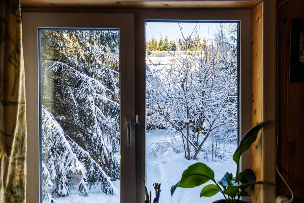 istock view through home window of snowy yard with trees 2197223123