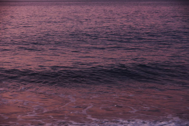White sea wave splash water. Pacific Ocean with blue color. Purple and pink  water wave abstract pure natural texture, gel soap, background. Surface of water.