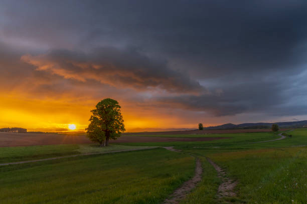 istock Broumov basin, Eastern Bohemia, Czech Republic 2197230356