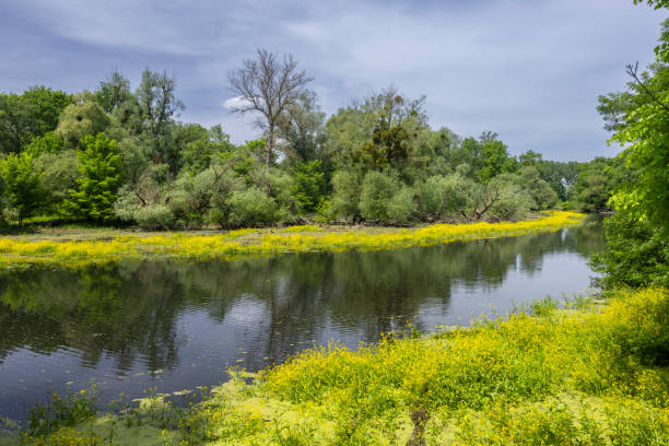 istock Spring landscape in Zahorie region,  Slovakia 2197230721