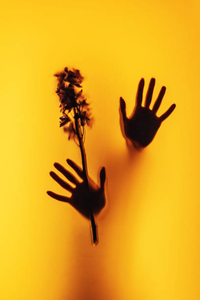 Silhouette of hands with flowers