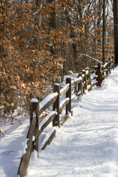 istock Majestic snow landscapes 2197240020