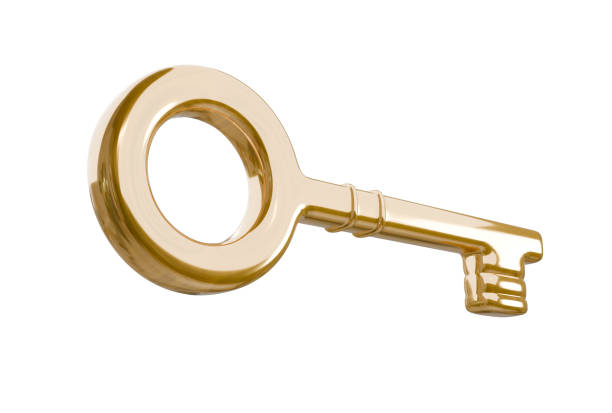 3D illustration of Key with white background