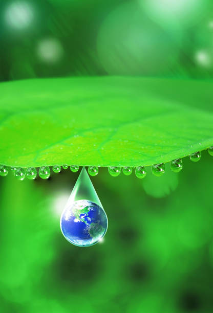 istock Sustainable development green world and water 2197244548