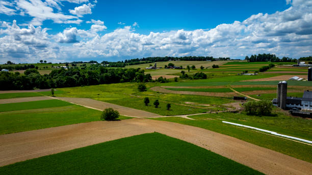 istock Expansive Farmland Under a Bright Blue Sky With Clouds in Rural Landscape 2197246185