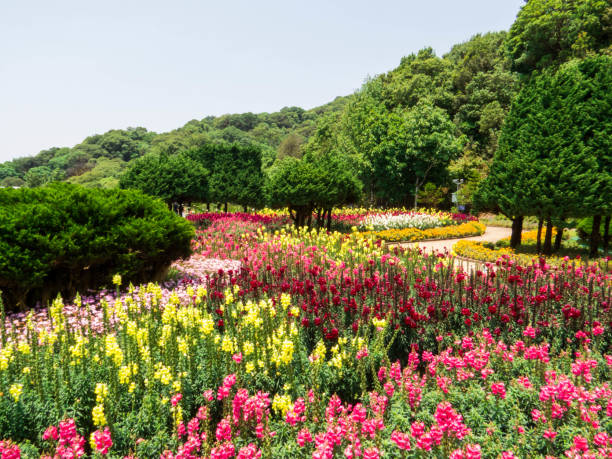 istock Doi Inthanon National Park, Chiang Mai, Thailand 2197248918