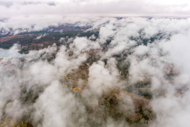 Roads trees and clouds as seen from above