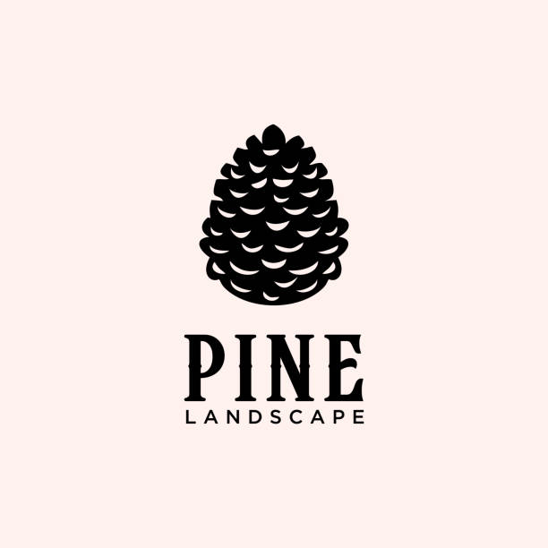 Pine Cone Vintage Icon Vector Design Template Silhouette