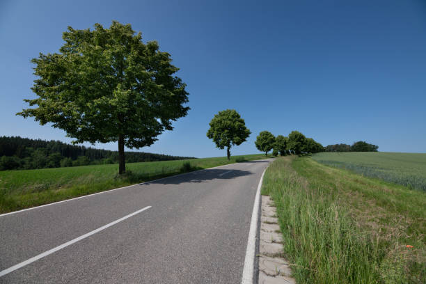 scenic shot in Bavaria. A road leads through fields and meadows. There are deciduous trees on the side. The sky is blue.