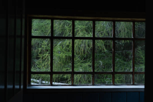 istock View of lush greenery through a rustic window in a quiet cabin surrounded by nature. Hiking in Carpathian Mountains, Ukraine 2197260451