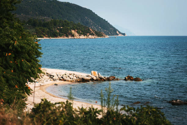 A serene beach scene featuring calm blue waters, rocky shoreline, and lush green vegetation. The distant hills create a tranquil backdrop, perfect for relaxation.
