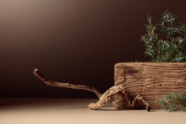 istock Abstract composition of old wooden plank and juniper branch. 2197264619
