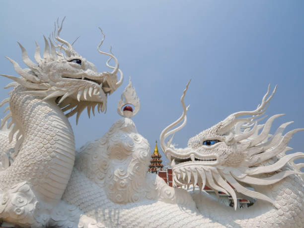 white dragon in chinese temple isolated on white background