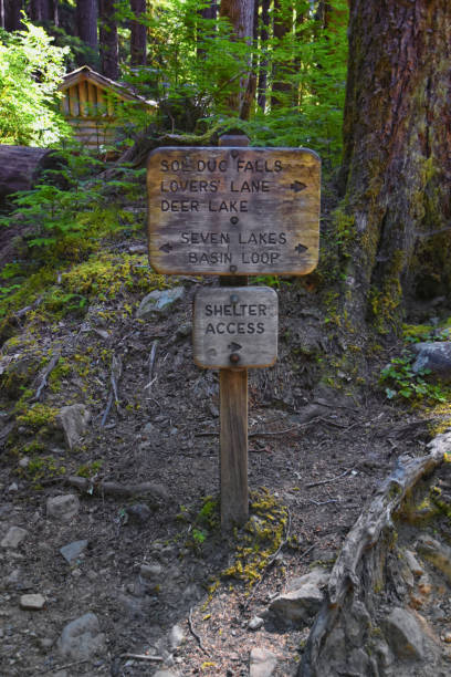 istock Sol Duc Falls hiking trail Soleduck waterfall view in summer 2024 Olympic National Park, Washington, United States 2197267521