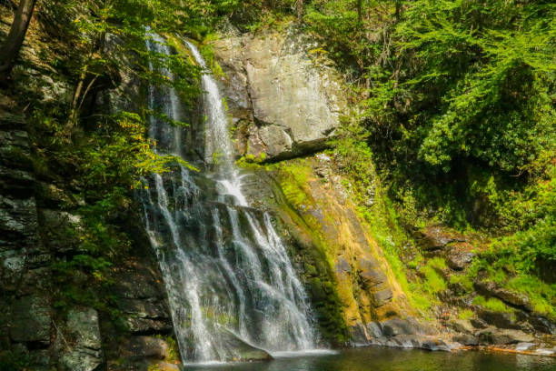 istock Beautiful waterfall cascading into a serene pool surrounded by lush greenery. Bushkill Falls in Poconos Pennsylvania. 2197271061