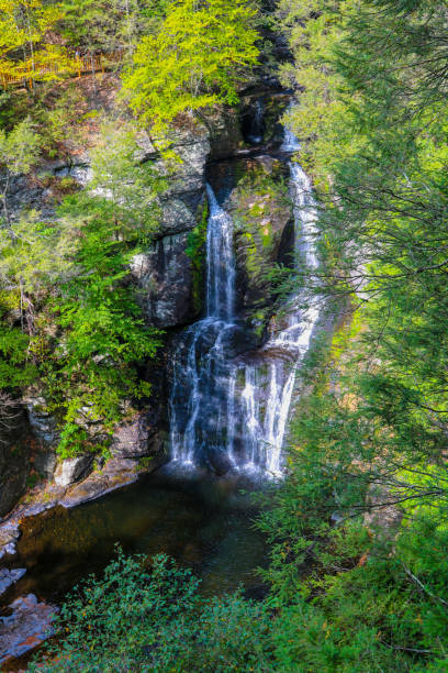 istock Natural waterfall cascades through lush greenery in a serene forest setting This is in Bushkill Falls in the Poconos in Pennsylvania 2197271087