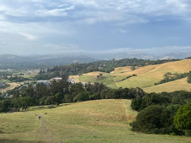 istock Taylor Mountain Regional Park, Sonoma County, California 2197274368