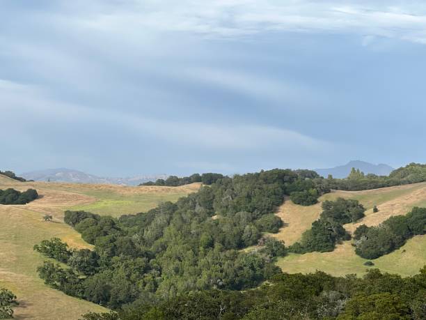 istock Taylor Mountain Regional Park, Sonoma County, California 2197274402