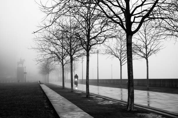 istock Fog blankets a deserted path lined with barren trees and a distant statue during a quiet morning stroll 2197274564