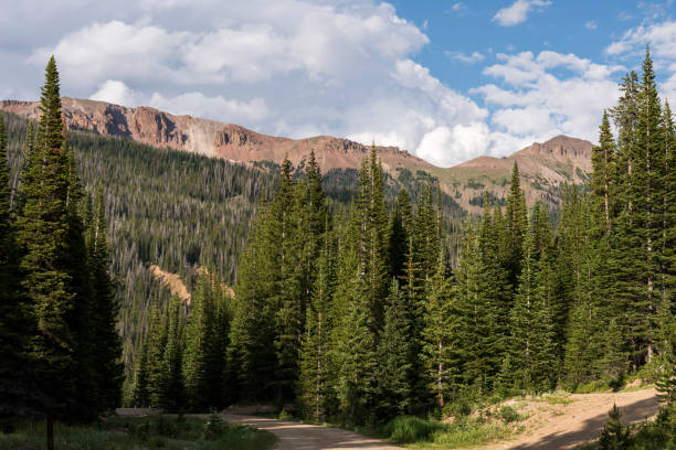 istock 12,040 Foot Table Iron Mountain viewed from Crags Campground in mid July. 2197275621