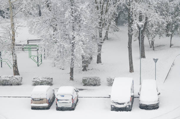 A row of snow-covered cars parked near a serene park blanketed in snow. Snow-laden trees and a quiet playground in the background create a peaceful winter scene.