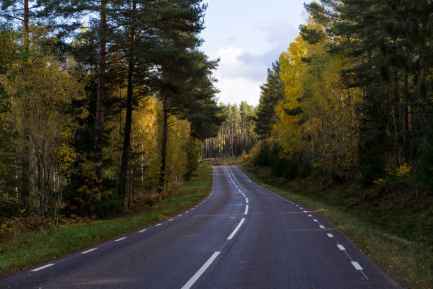 istock Road in Sweden at autumn 2197276431