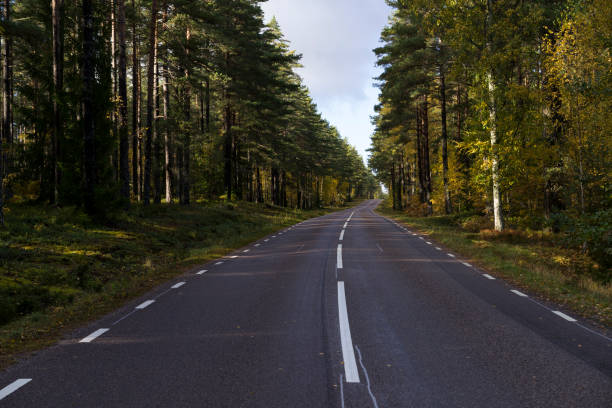 istock Road in Sweden at autumn 2197276495