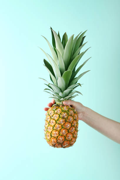 istock Female hand holding ripe pineapple on mint background 2197276748