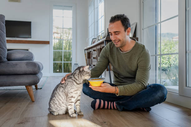 istock Millennial man feeding his cat at home. 2197278626