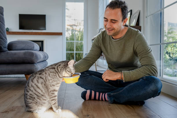 istock Millennial man feeding his cat at home. 2197278642