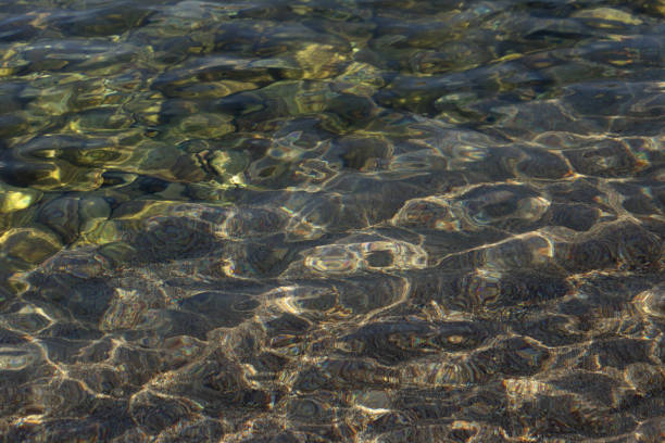 istock Clean coastal water with small colorful pebbles and algae at the bottom. 2197282350