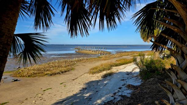 istock Saint Marks National Wildlife Refuge 2197285834