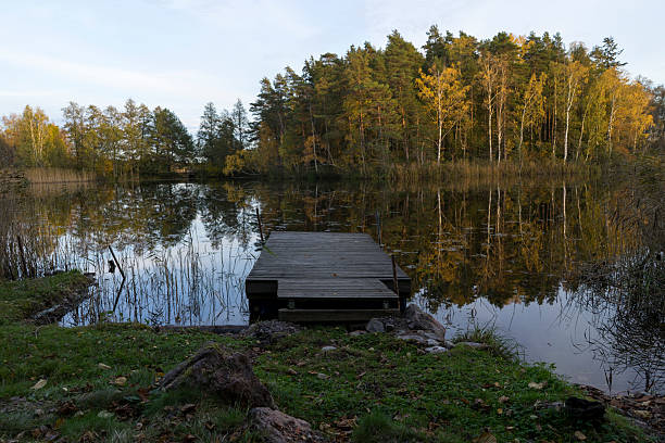 Swedish nature and landscape at autumn. Beautiful forest with trees and a lake.
