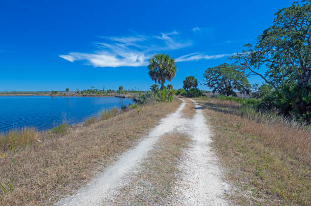 Levee Road in a Southern Wildlife Refuge in St Marks National Wildlife Refuge in Florida