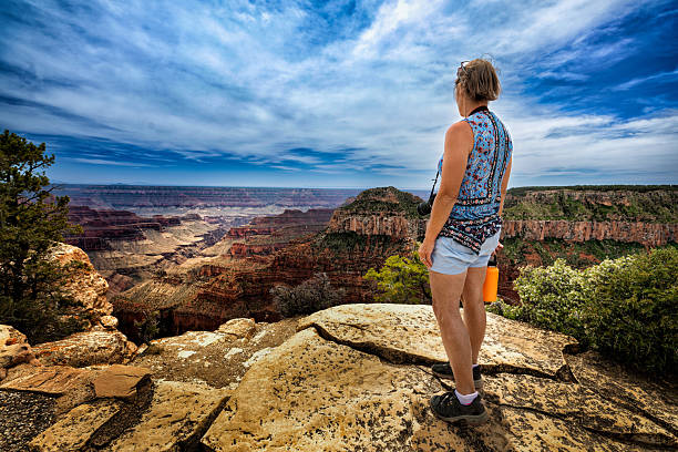 A hiker stands at the edge of a canyon, overlooking a vast landscape. The image captures the rugged terrain and layered rock formations, with a clear sky above. This scene highlights the beauty of nature and the spirit of exploration.
