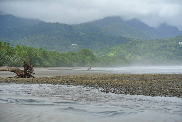 istock Beach in Costa Rica 2197299174